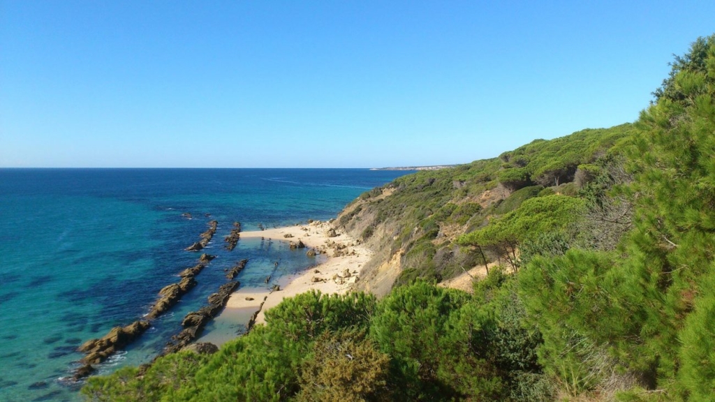 Bolonia