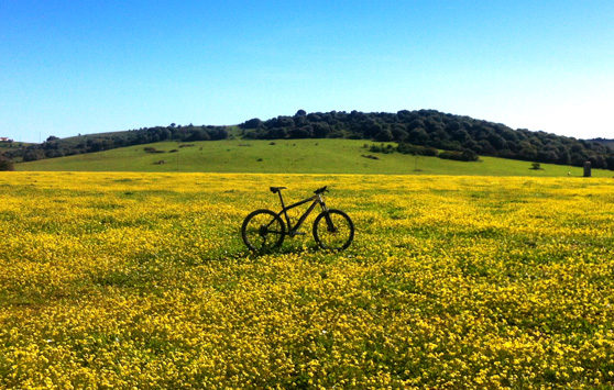 bicicleta